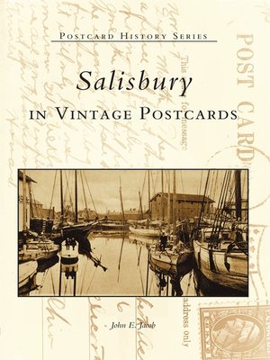 cover image of Salisbury in Vintage Postcards
